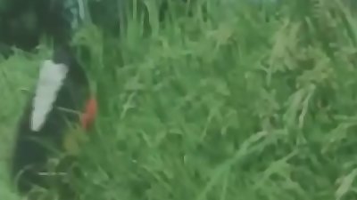 Couples romantic bed room scene   Most romantic scenes