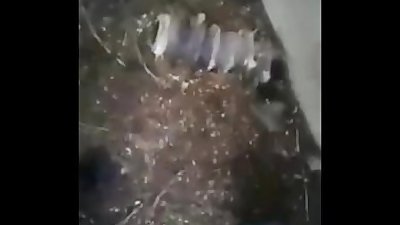 south indian village blowjob