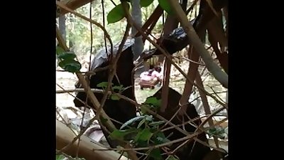 Kdt outdoor.28/05/18